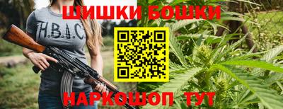 гидропоника Кингисепп