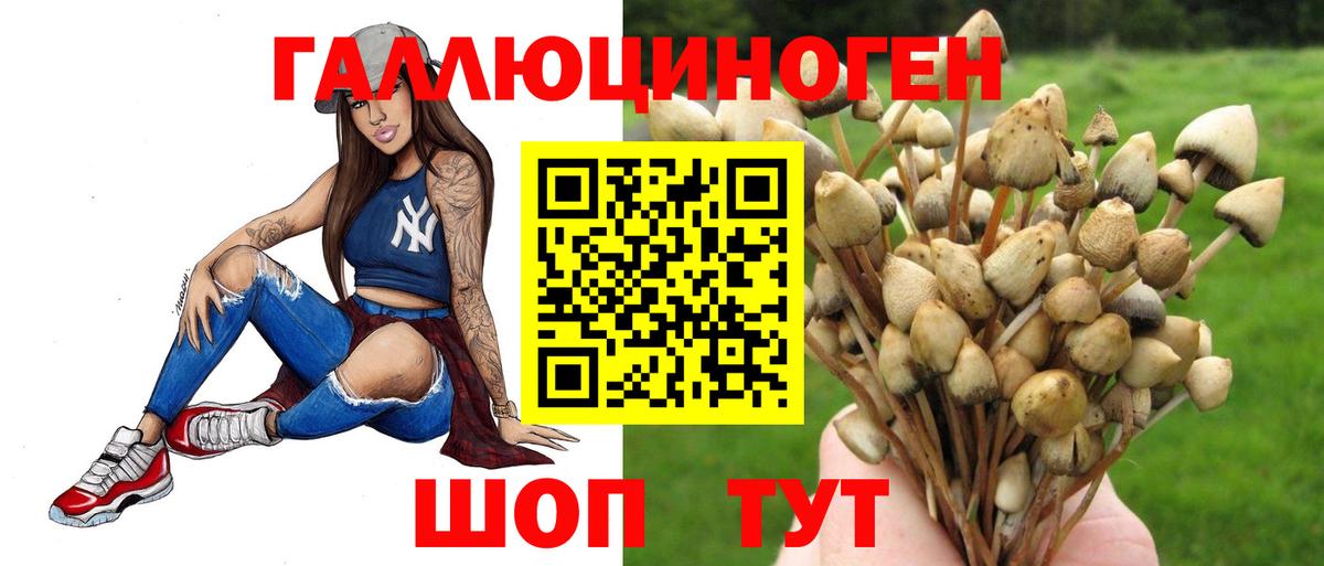 Галлюциногенные грибы ЛСД Красноярск